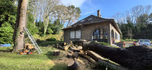 Photo de galerie - Tronçonnage suite à la tempête Goretti 