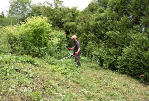 Photo de galerie - Débroussaillage terrain de 4 hectares 