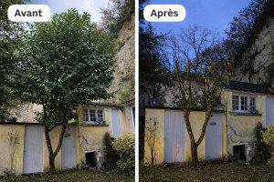 Photo de galerie - Elagage et coupe d'arbres