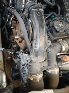 Photo de galerie - Distribution 