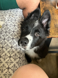 Photo de galerie - FINÕ