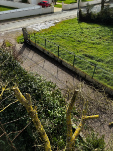 Photo de galerie - Taille de frêne gênant pour voisin