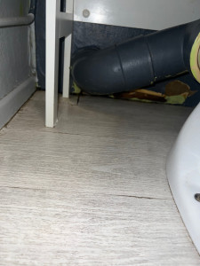 Photo de galerie - Nettoyage sol 