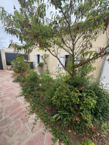 Photo de galerie - Enlèvement de massifs avant 