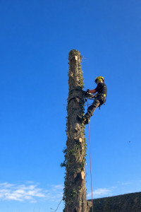 Photo de galerie - Démontage 