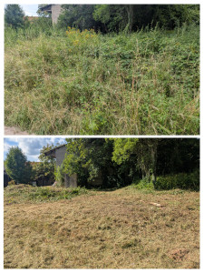 Photo de galerie - Tonte de pelouse - Débroussaillage