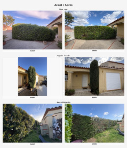 Photo de galerie - Rabattage de haie, rectification des côtés et taille de cyprès 