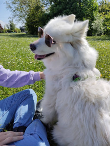 Photo de galerie - Princesse Sunny