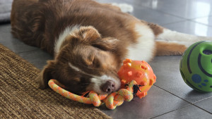 Photo de galerie - April