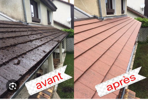 Photo de galerie - Résultats obtenus après démoulage et application d’un produit anti mousse professionnel DALEP  2100