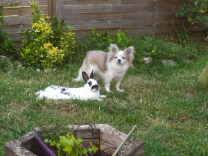 Photo de galerie - .