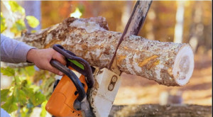 Photo de galerie - J'ai réalisé ce projet