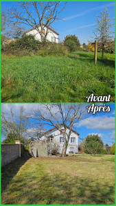 Photo de galerie - Tonte / débroussaillage 
Avec évacuation déchets verts 