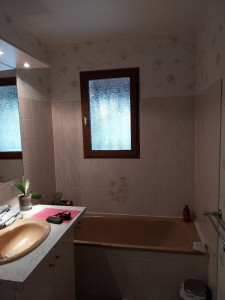 Photo de galerie - -Salle de bain avant (partie 1)