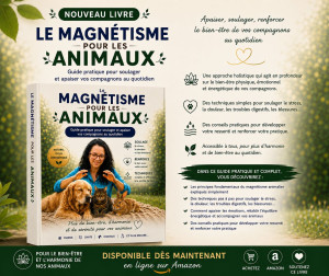 Photo de galerie - Magnétiseur