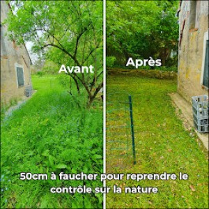Photo de galerie - Tonte de pelouse