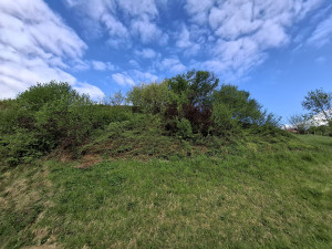 Photo de galerie - Débroussaillage