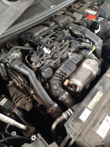 Photo de galerie - Palier arbres à cames 1.5 blue hdi stellantis 