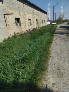 Photo de galerie - Après abattage 
