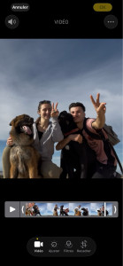 Photo de galerie - Amoureux des animaux, nous pouvons garder ou dresser vos animaux 