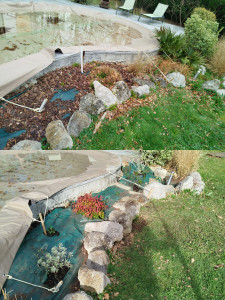 Photo de galerie - Arrachage d'arbustes et d'un palmier dans un massif avec bâche déjà existante. Plantation de 11 nouveaux arbustes autour d'une piscine. 