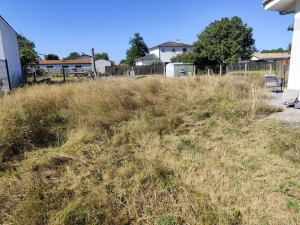 Photo de galerie - Tonte de pelouse - Débroussaillage