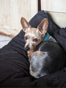 Photo de galerie - Ma raison de vivre mon petit Mickey 