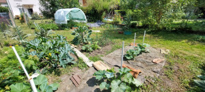 Photo de galerie - Jardinier