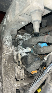 Photo de galerie - Problème Adblue