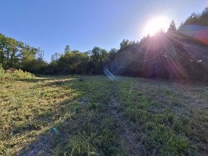 Photo de galerie - Paysagiste - Aménagement du jardin