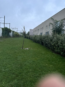 Photo de galerie - Tonte de pelouse