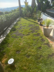 Photo de galerie - Remise en état d’une pelouse 