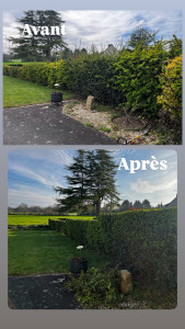 Photo de galerie - Avant/Après 