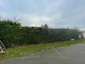 Photo de galerie - Photo prise après 4 heures de tailles 