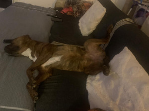 Photo de galerie - Ici plutôt repos sur le canapé?