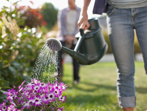 Photo de galerie - Entretien du jardin