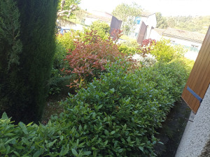 Photo de galerie - Avant 