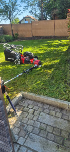 Photo de galerie - Petit jardin tondu et débroussaillé par moi 
