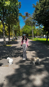 Photo de galerie - Garde chien