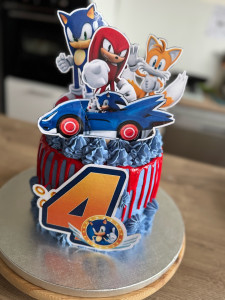 Photo de galerie - Thème Sonic