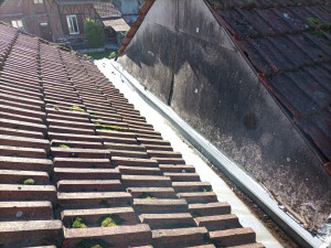 Photo de galerie - Remplacement chainaux zinc