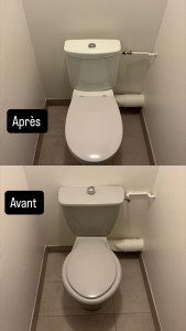 Photo de galerie - Remplacement de WC
