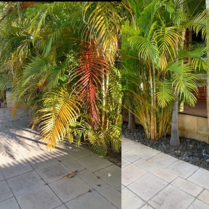 Photo de galerie - Jardinier