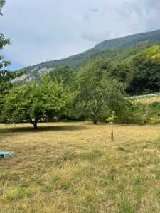 Photo de galerie - Nettoyage d’une parcelle d’arbres fruitiers 