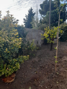 Photo de galerie - Pose de panneaux de bois , je réalise un travail soigné, solide et propre pour sécuriser et embellir votre jardin