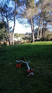 Photo de galerie - Tonte de pelouse - Débroussaillage