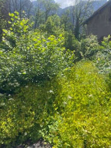 Photo de galerie - Avant réalisation de chantier 