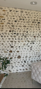 Photo de galerie - Mur fait en façade 