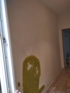 Photo de galerie - Peinture - Tapisserie