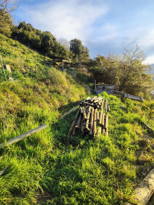 Photo de galerie - Paysagiste - Aménagement du jardin